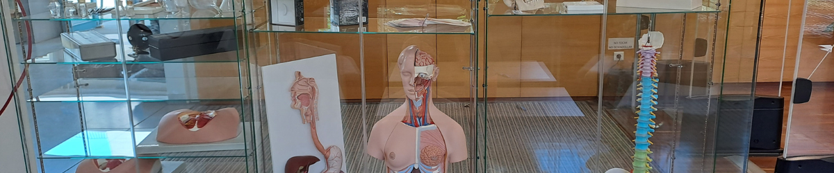Préstec de models anatòmics